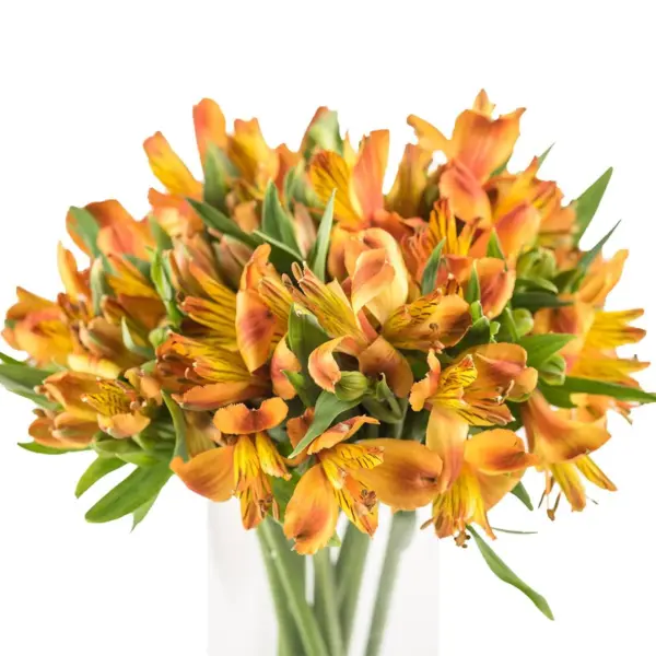 Buque alstromeria laranja com 10 hastes de 70cm – flame