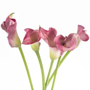 Buque callas rosa com 5 hastes de 60cm – romance