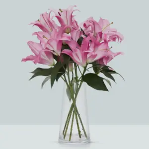 Buque de lirio pink com perfume 5 hastes 60cm Tabledance Buque de lirio pink com perfume 5 hastes 60cm Tabledance