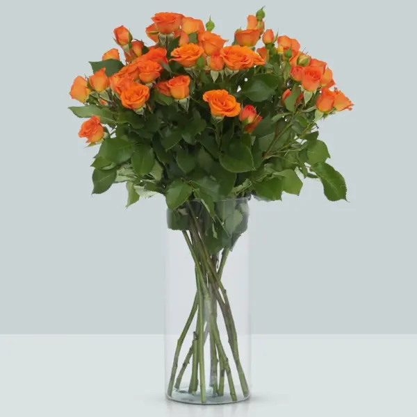 Buque de mini rosa spray laranja com 10 hastes – babe Buque de mini rosa spray laranja com 10 hastes – babe