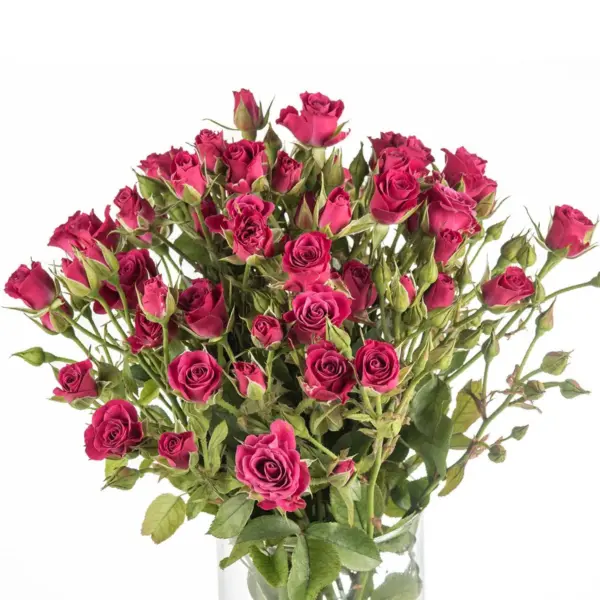 Buque de mini rosa spray pink com 10 hastes – glorious