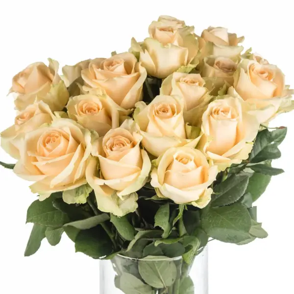 Buque de rosa chá com 20 hastes de 60cm – peach avalanche