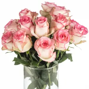 Buque de rosa cor de rosa com 20 hastes de 60 cm – jumilia Buque de rosa cor de rosa com 20 hastes de 60 cm – jumilia
