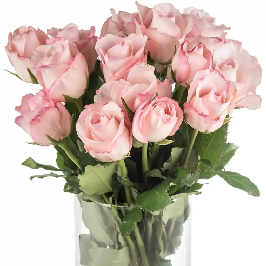 Buquê de rosas cor de rosa