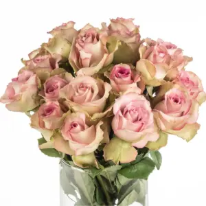 Buque de rosa cor de rosa envelhecido com 20 hastes de 60 cm – variance Buque de rosa cor de rosa envelhecido com 20 hastes de 60 cm – variance