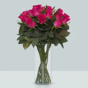 Buque de rosa pink com 20 hastes de 60 cm – Gotcha Buque de rosa pink com 20 hastes de 60 cm – Gotcha