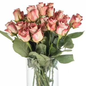 Buque de rosa terracota com 20 hastes de 60cm – leonidas Buque de rosa terracota com 20 hastes de 60cm – leonidas