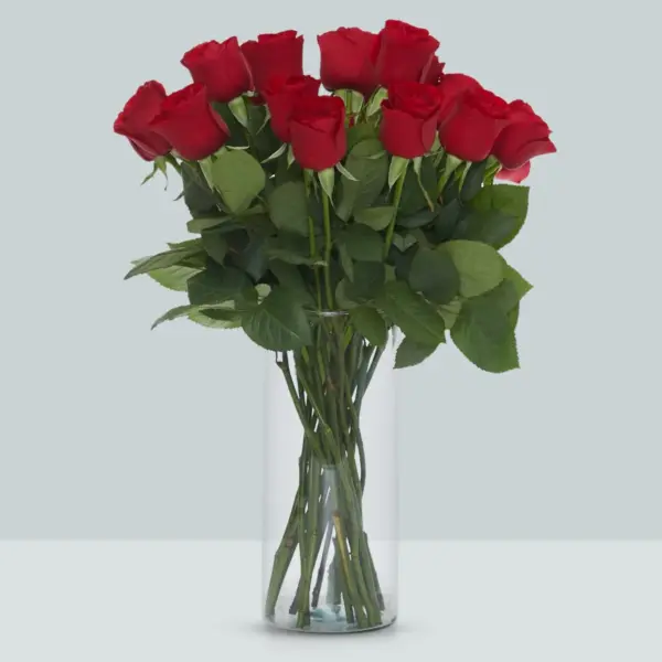 Buque de rosa vermelha com 20 hastes de 60 cm – red alert