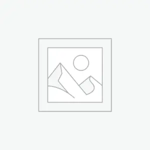 Buque alstromeria lilás com 10 hastes de 70cm – platina