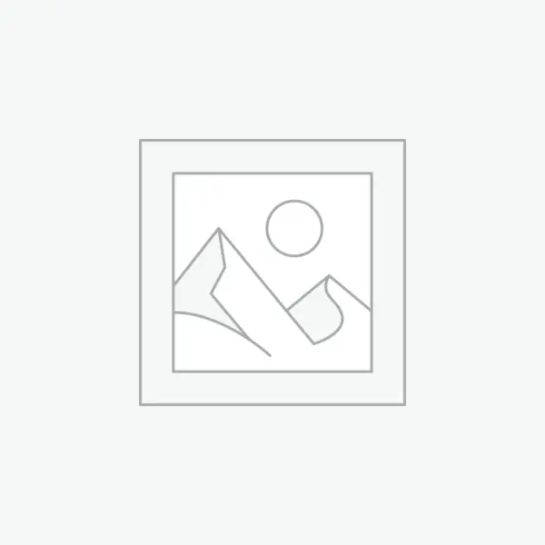 Buque alstromeria lilás com 10 hastes de 70cm – platina